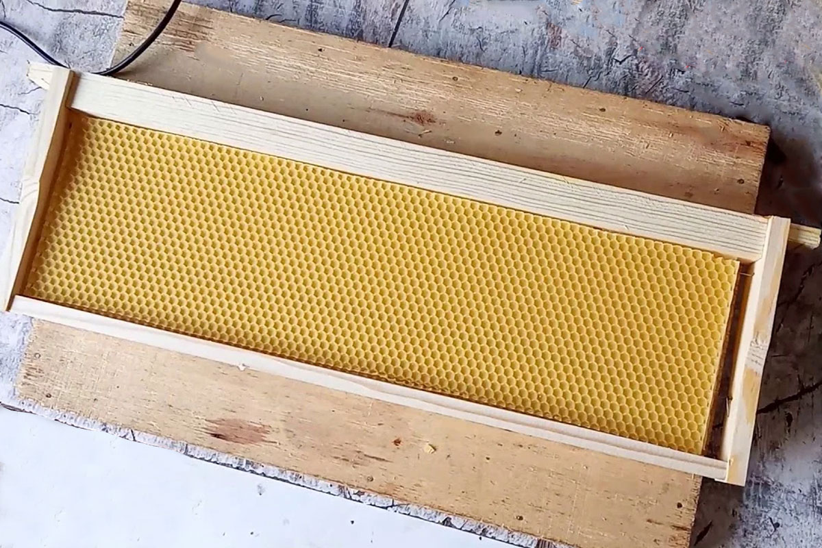 Що буде, якщо з'їсти бджолиний віск